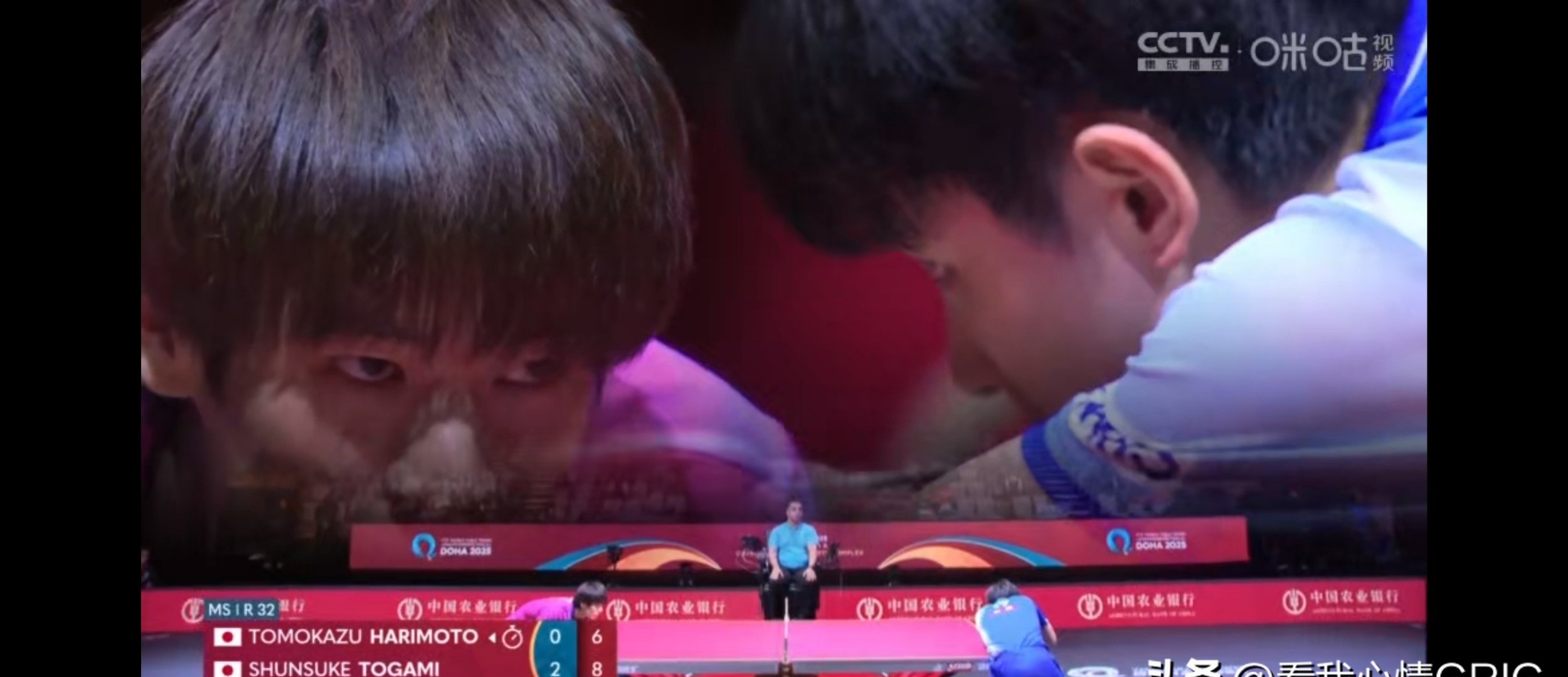 比利时乒乓球队碾压瑞典乒乓球队，张本智和制霸全场