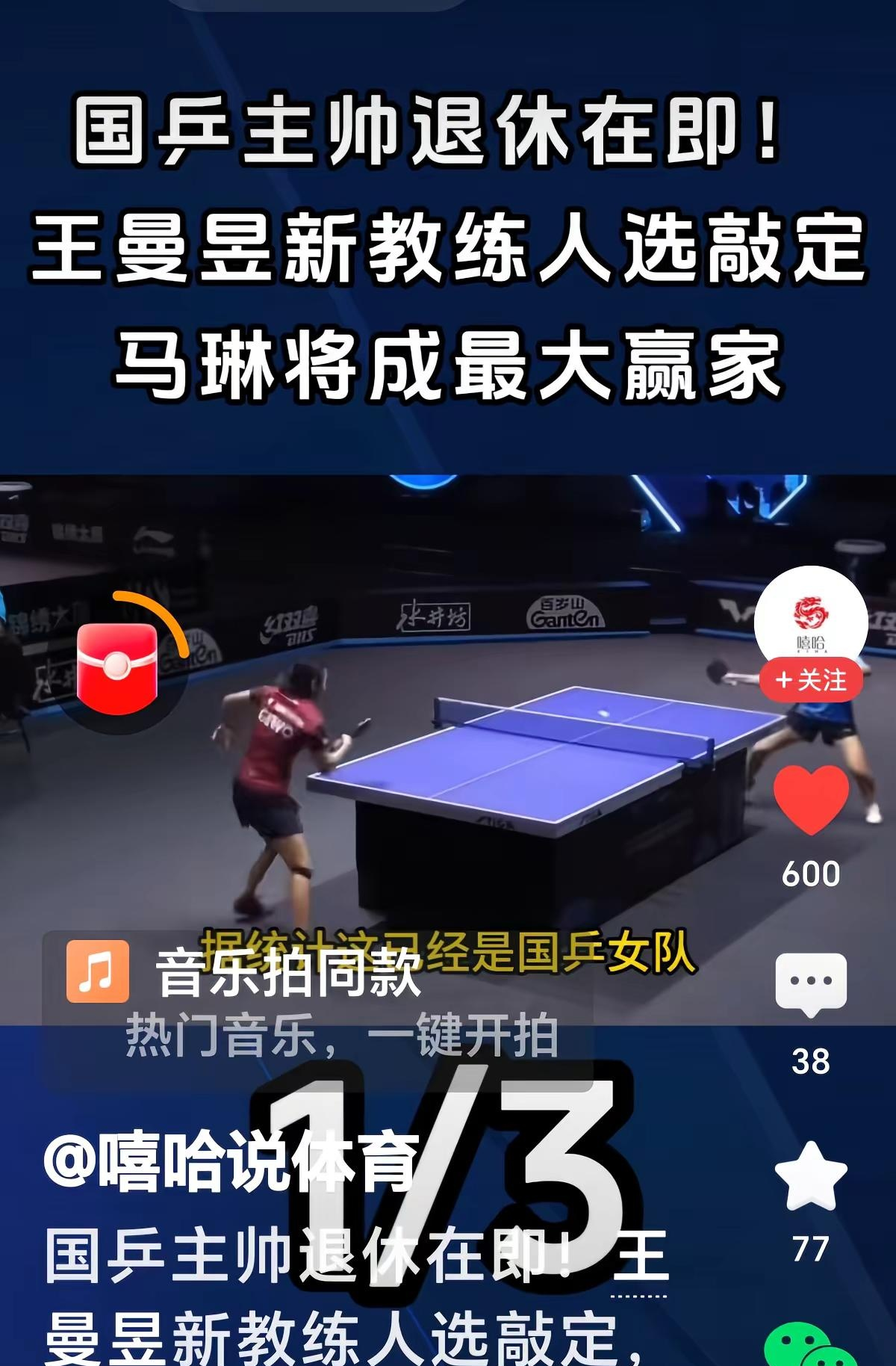 泰国羽毛球队绝地反击日本羽毛球队，马琳送出助攻的简单介绍