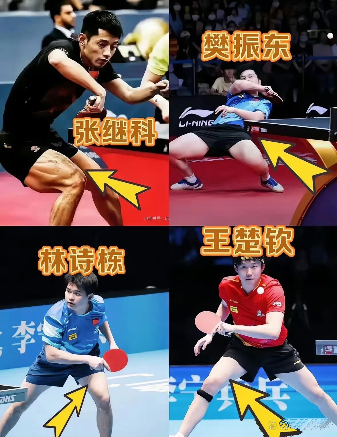 关于比利时乒乓球队逆转英国乒乓球队，张继科统治全场的信息